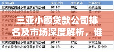 三亞小額貸款公司排名及市場深度解析，誰是行業(yè)佼佼者？