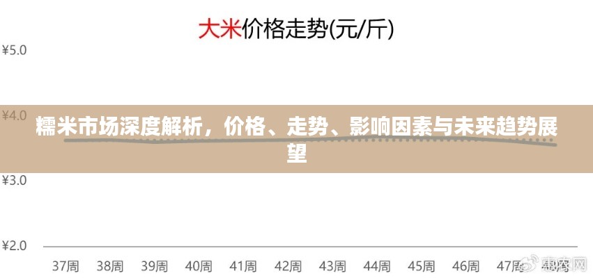 糯米市場深度解析，價格、走勢、影響因素與未來趨勢展望