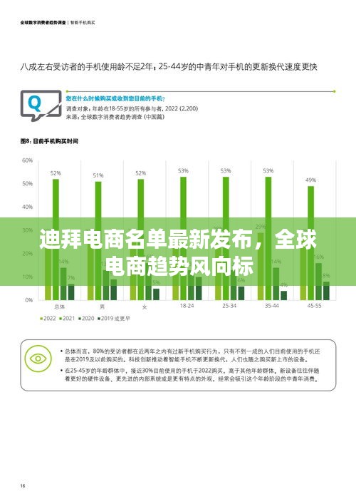 迪拜電商名單最新發(fā)布，全球電商趨勢(shì)風(fēng)向標(biāo)