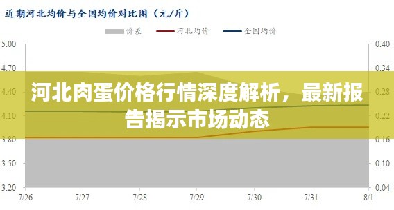 河北肉蛋價(jià)格行情深度解析，最新報(bào)告揭示市場(chǎng)動(dòng)態(tài)