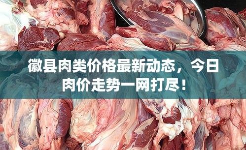 徽縣肉類(lèi)價(jià)格最新動(dòng)態(tài)，今日肉價(jià)走勢(shì)一網(wǎng)打盡！