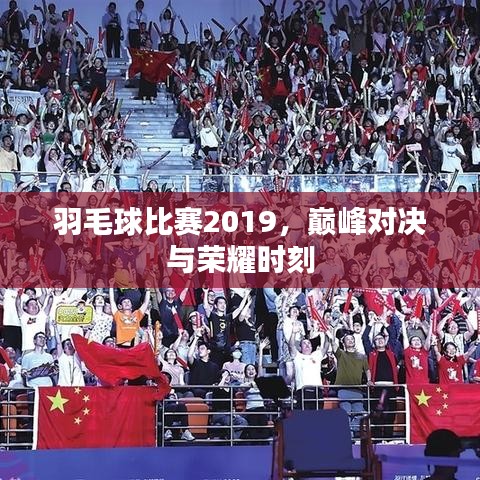 羽毛球比賽2019，巔峰對決與榮耀時刻