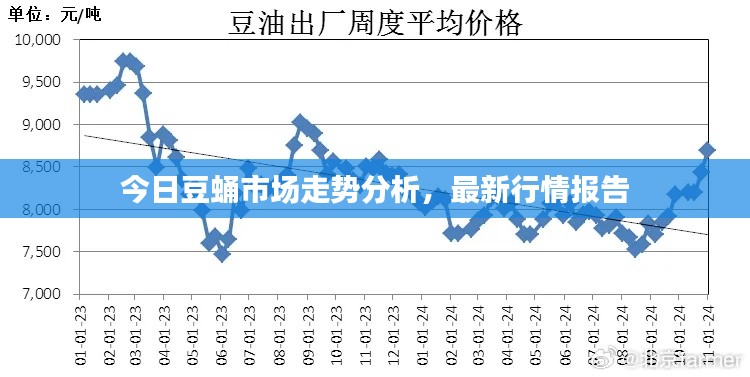 今日豆蛹市場走勢分析，最新行情報(bào)告