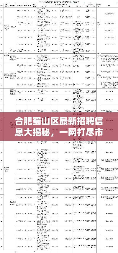 合肥蜀山區(qū)最新招聘信息大揭秘，一網(wǎng)打盡市區(qū)各大企業(yè)職位空缺