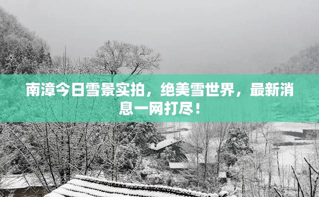 南漳今日雪景實拍，絕美雪世界，最新消息一網(wǎng)打盡！