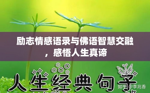 勵志情感語錄與佛語智慧交融，感悟人生真諦