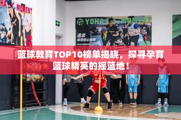 籃球教育TOP10榜單揭曉，探尋孕育籃球精英的搖籃地！