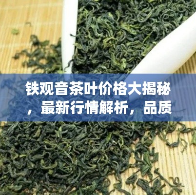 鐵觀音茶葉價格大揭秘，最新行情解析，品質(zhì)與價格雙重保障！