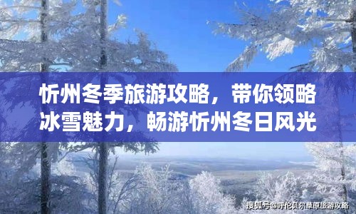 忻州冬季旅游攻略，帶你領(lǐng)略冰雪魅力，暢游忻州冬日風(fēng)光！