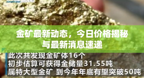 金礦最新動(dòng)態(tài)，今日價(jià)格揭秘與最新消息速遞