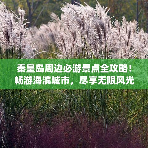 秦皇島周邊必游景點(diǎn)全攻略！暢游海濱城市，盡享無限風(fēng)光