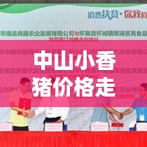 中山小香豬價格走勢大揭秘，最新行情分析！