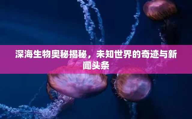 深海生物奧秘揭秘，未知世界的奇跡與新聞?lì)^條