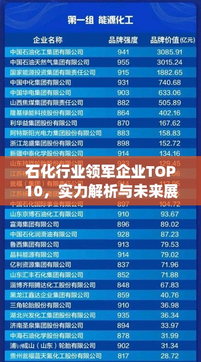 石化行業(yè)領(lǐng)軍企業(yè)TOP10，實(shí)力解析與未來展望