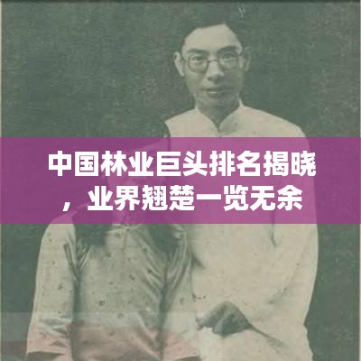 中國林業(yè)巨頭排名揭曉，業(yè)界翹楚一覽無余