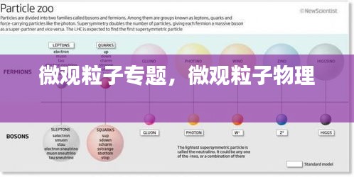 微觀粒子專題，微觀粒子物理 