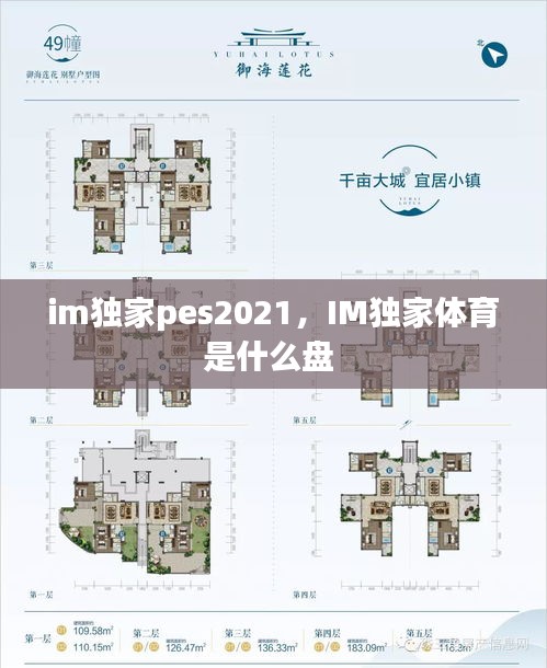 im獨家pes2021，IM獨家體育是什么盤 