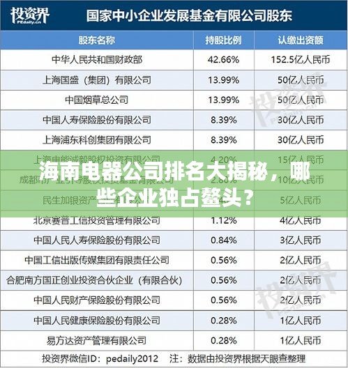 海南電器公司排名大揭秘，哪些企業(yè)獨(dú)占鰲頭？