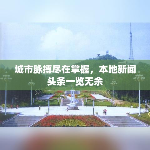 城市脈搏盡在掌握，本地新聞頭條一覽無余