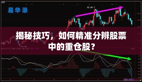 揭秘技巧，如何精準(zhǔn)分辨股票中的重倉股？