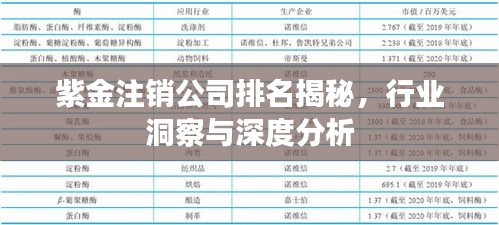 紫金注銷公司排名揭秘，行業(yè)洞察與深度分析