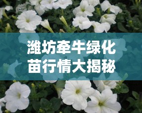 濰坊牽牛綠化苗行情大揭秘，最新價格分析與趨勢預(yù)測