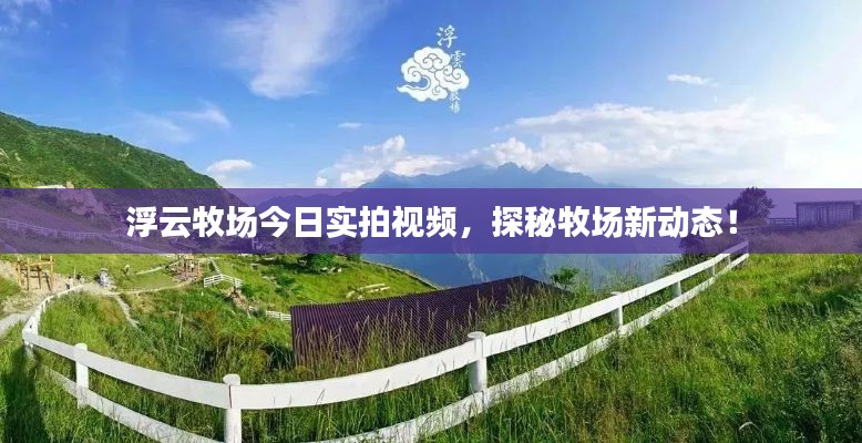 浮云牧場(chǎng)今日實(shí)拍視頻，探秘牧場(chǎng)新動(dòng)態(tài)！