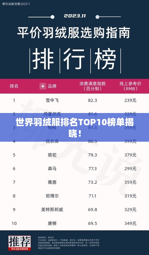 世界羽絨服排名TOP10榜單揭曉！