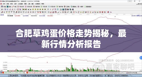 合肥草雞蛋價格走勢揭秘，最新行情分析報告
