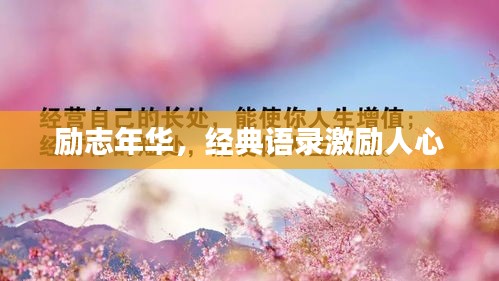 勵志年華，經(jīng)典語錄激勵人心