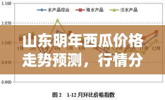 山東明年西瓜價格走勢預測，行情分析與展望