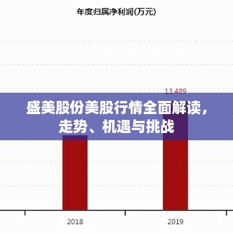 盛美股份美股行情全面解讀，走勢、機遇與挑戰(zhàn)