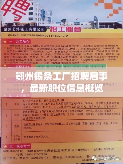 鄂州錫條工廠招聘啟事，最新職位信息概覽