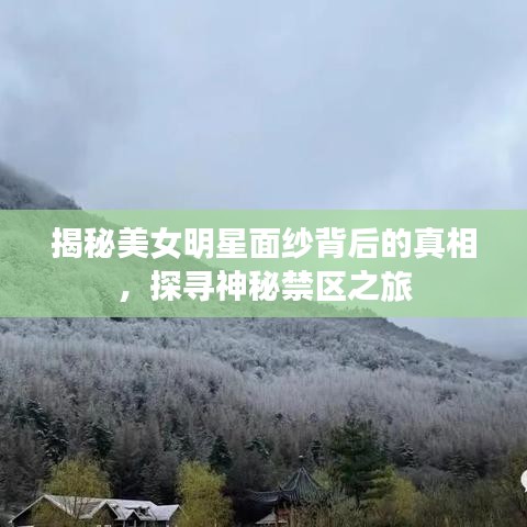 揭秘美女明星面紗背后的真相，探尋神秘禁區(qū)之旅