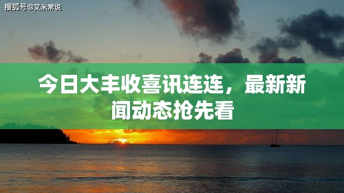 今日大豐收喜訊連連，最新新聞動(dòng)態(tài)搶先看