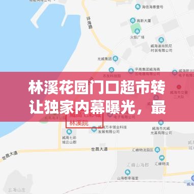 林溪花園門口超市轉讓獨家內幕曝光，最新消息揭秘重磅交易！