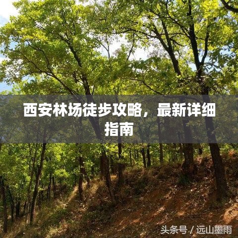 西安林場(chǎng)徒步攻略，最新詳細(xì)指南