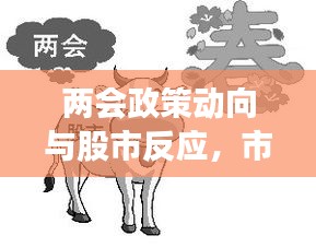 兩會政策動向與股市反應(yīng)，市場走勢揭秘，投資機(jī)會前瞻