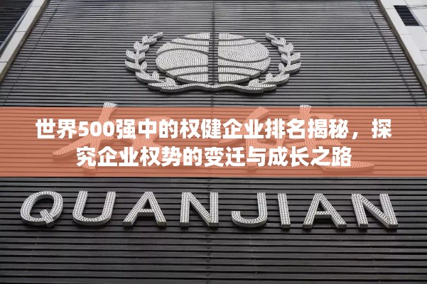 世界500強中的權健企業(yè)排名揭秘，探究企業(yè)權勢的變遷與成長之路