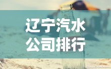 遼寧汽水公司排行榜揭曉，誰領風騷？