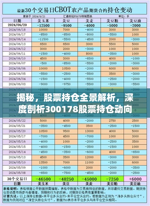 揭秘，股票持倉全景解析，深度剖析300178股票持倉動向