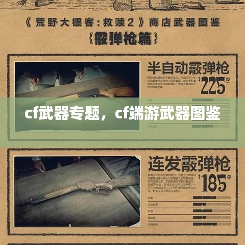 cf武器專題，cf端游武器圖鑒 