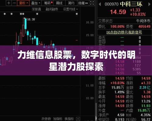 力維信息股票，數(shù)字時代的明星潛力股探索