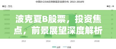 波克夏B股票，投資焦點(diǎn)，前景展望深度解析