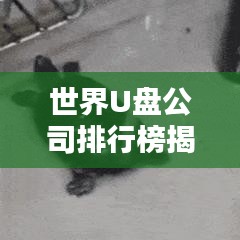 世界U盤公司排行榜揭曉，行業(yè)巨頭一覽無余！