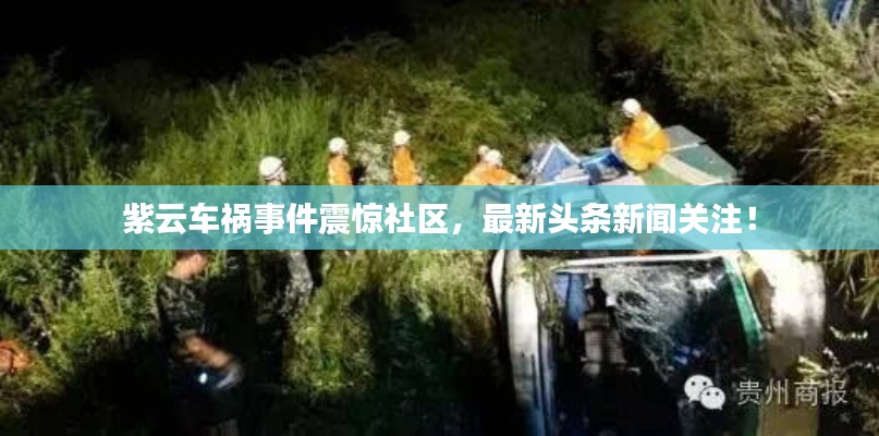 紫云車(chē)禍?zhǔn)录痼@社區(qū)，最新頭條新聞關(guān)注！