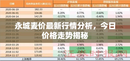 永城麥價最新行情分析，今日價格走勢揭秘