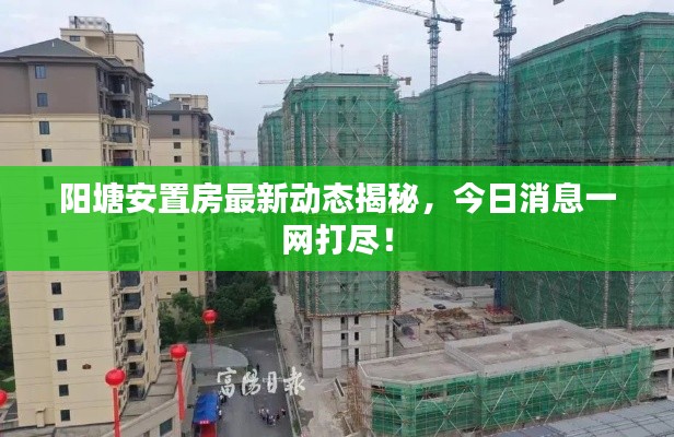 陽(yáng)塘安置房最新動(dòng)態(tài)揭秘，今日消息一網(wǎng)打盡！