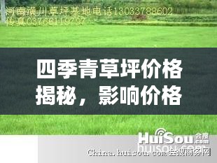 四季青草坪價格揭秘，影響價格的因素全解析