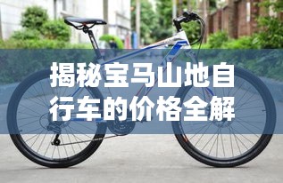 揭秘寶馬山地自行車的價格全解析！